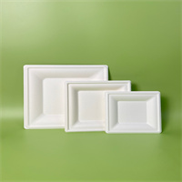 sugarcane plate 10” from mmcis china